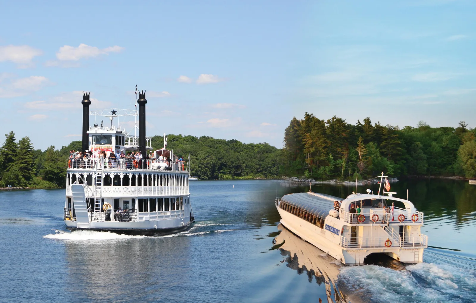 Kingston: Lunch Cruise of Thousand Islands